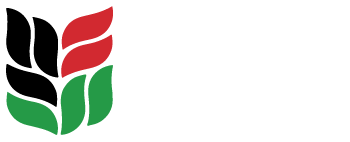 Msingi Logo